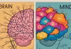 Difference Between Brain and Mind
