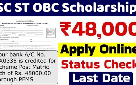 SC ST OBC Scholarship 2025, Benefit Up To 48,000, Check Steps To Apply Online