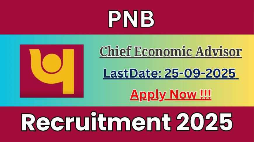 Punjab National Bank Recruitment 2025 | Apply for Chief Economic Advisor Post